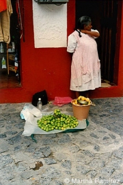 Limones-Para-Vaenta